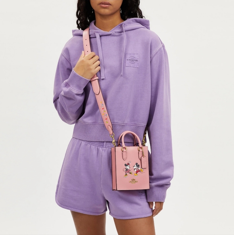 NWT DISNEY X COACH PINK NORTH SOUTH MINI TOTE WITH ICE SKATE MOTIF NSIP